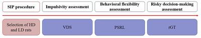 Behavioral domains in compulsive rats: implications for understanding compulsive spectrum disorders